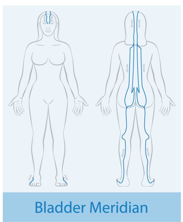 #13 TCM Headaches – 2 Bladder/Kidney - butterflyexpressions.net