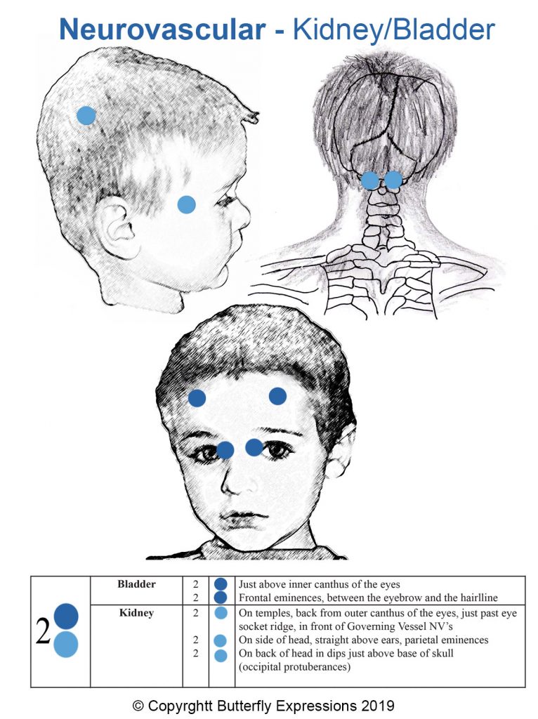 #13 TCM Headaches – 2 Bladder/Kidney - butterflyexpressions.net