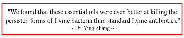 "We found that these essential oils were even better at killing the 'persister' forms of Lyme bacteria than standard Lyme antibiotics."  Dr. Ying Zhang