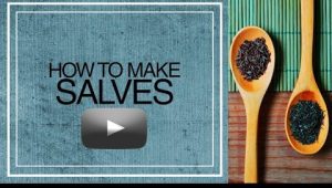 How to make Salves Video Link