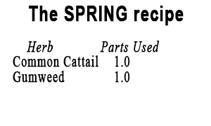 Spring Recipe