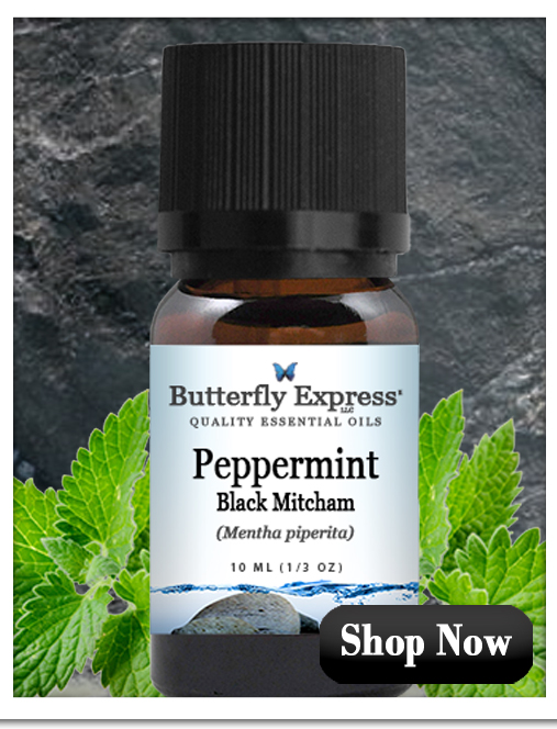 Peppermint Black Mitcham Essential Oil