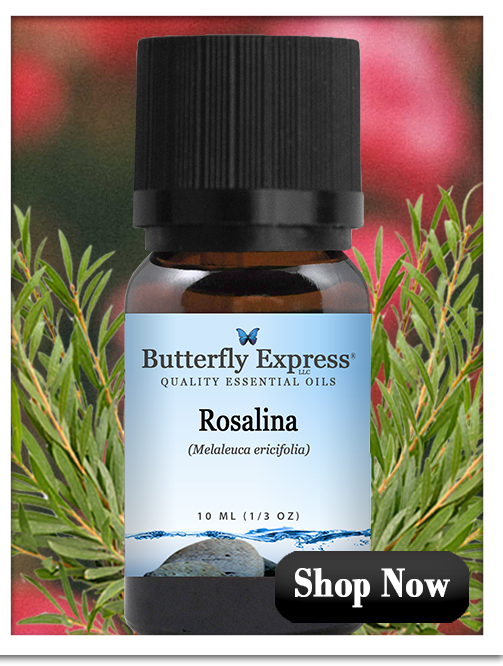 Rosalina Essential Oil