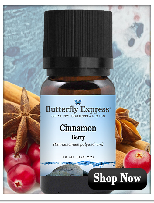 Cinnamon Berry Essential Oil