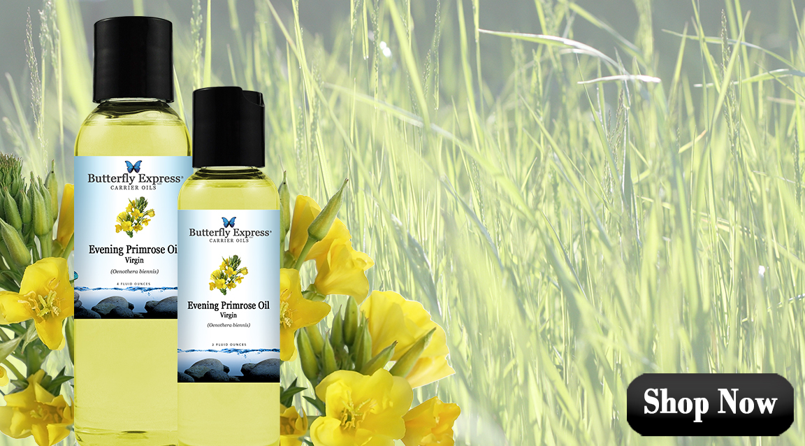 Evening Primrose Carrier Oil