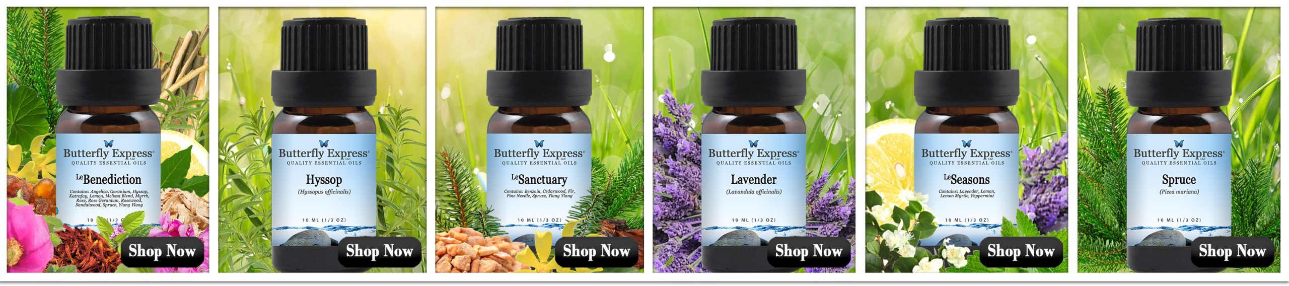 March Oils for allergies and energy protection