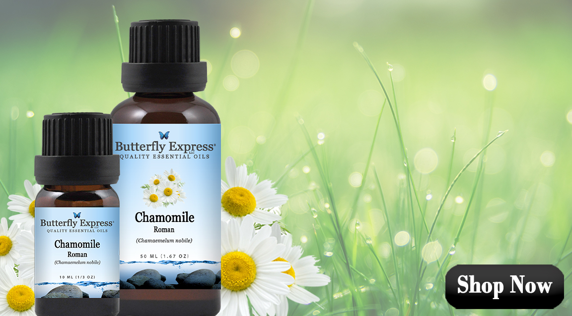 Chamomile Roman Essential Oil Single