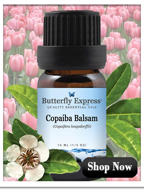 Copaiba Balsam Essential Oil Single