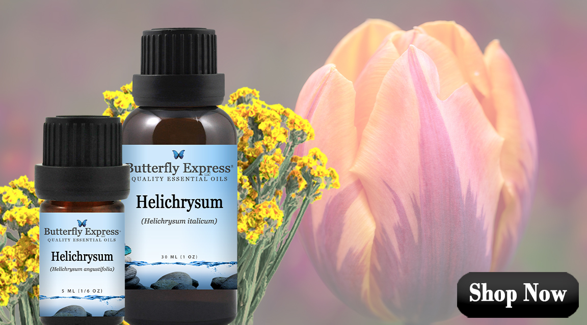 Helichrysum Essential Oil Singles
