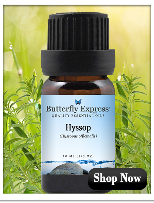 Hyssop for energy work