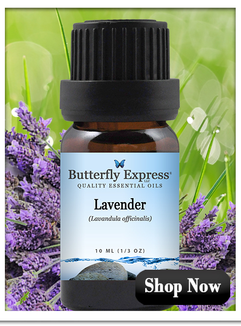 Lavender Essential Oil Single