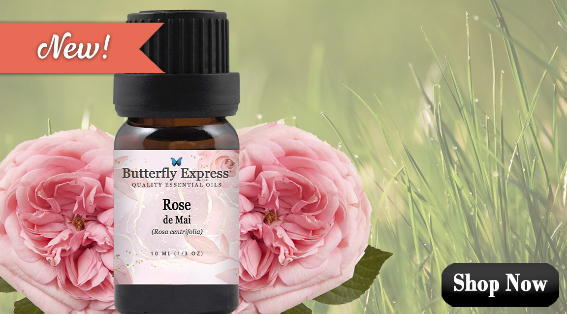 Rose oil for energy protection