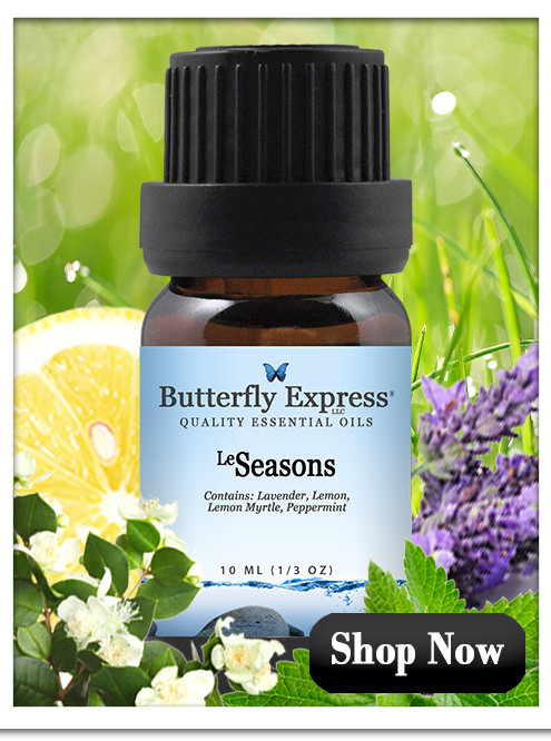 Violet - Color – Butterfly Express Quality Essential Oils