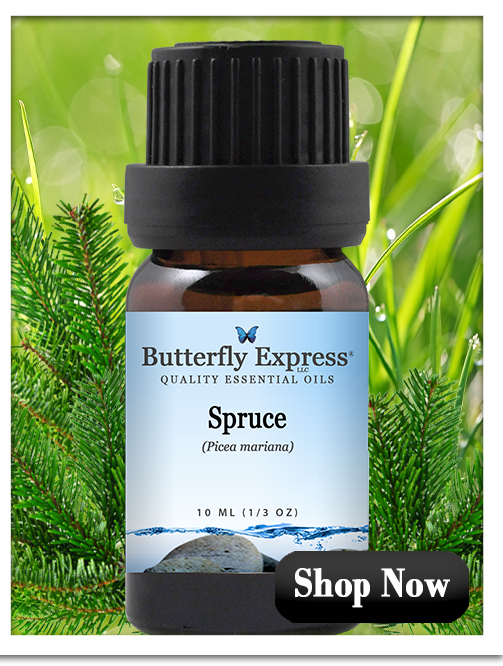 Spruce for energy protection