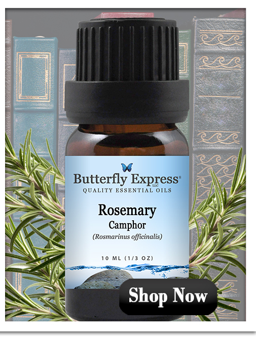 Rosemary Essential Oil for Learning