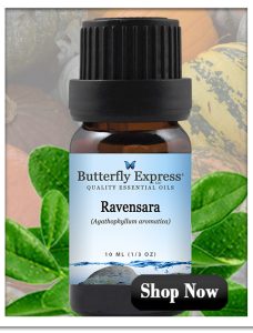 Ravensara Essential Oil for Immune and Lymph