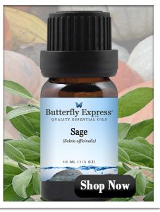 Sage Essential Oil for Immune and Lymph