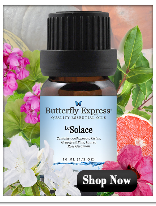 Solace Essential Oil for Immune and Lymph