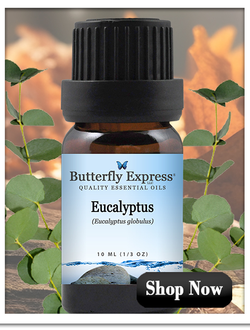 Eucalyptus Globulas Essential Oil