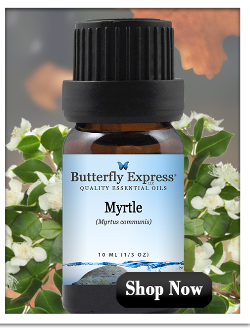 Myrtle Essential Oil