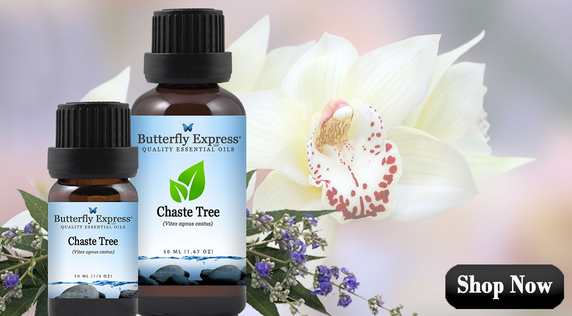 Chaste Tree Essential Oil