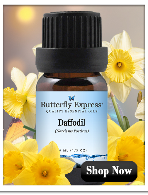 Daffodil Essential Oil