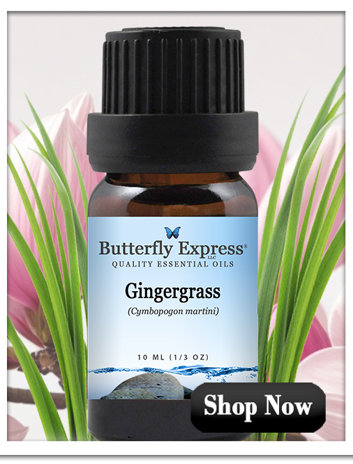 Gingergrass Essential Oils