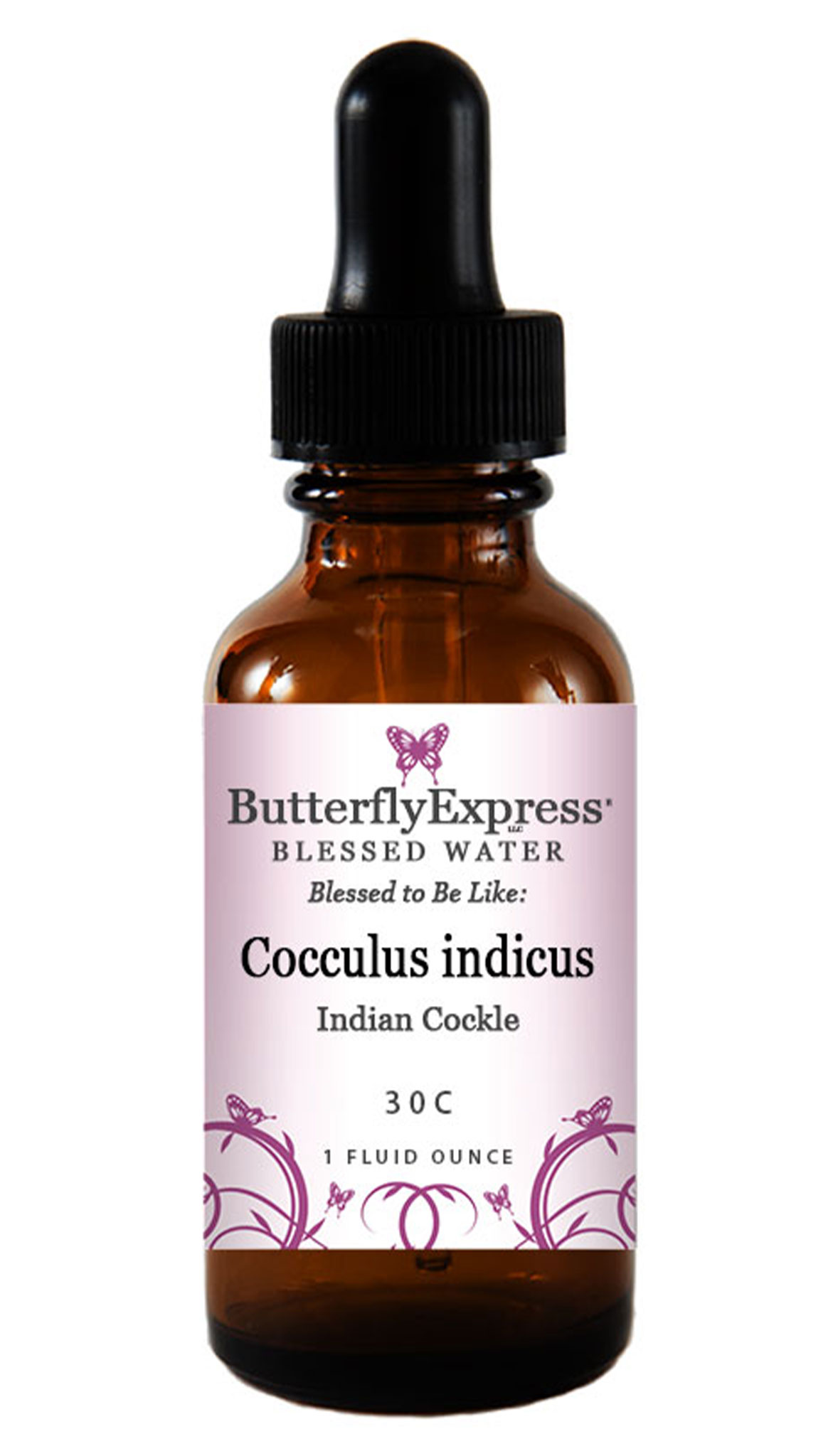 Cocculus Indicus 