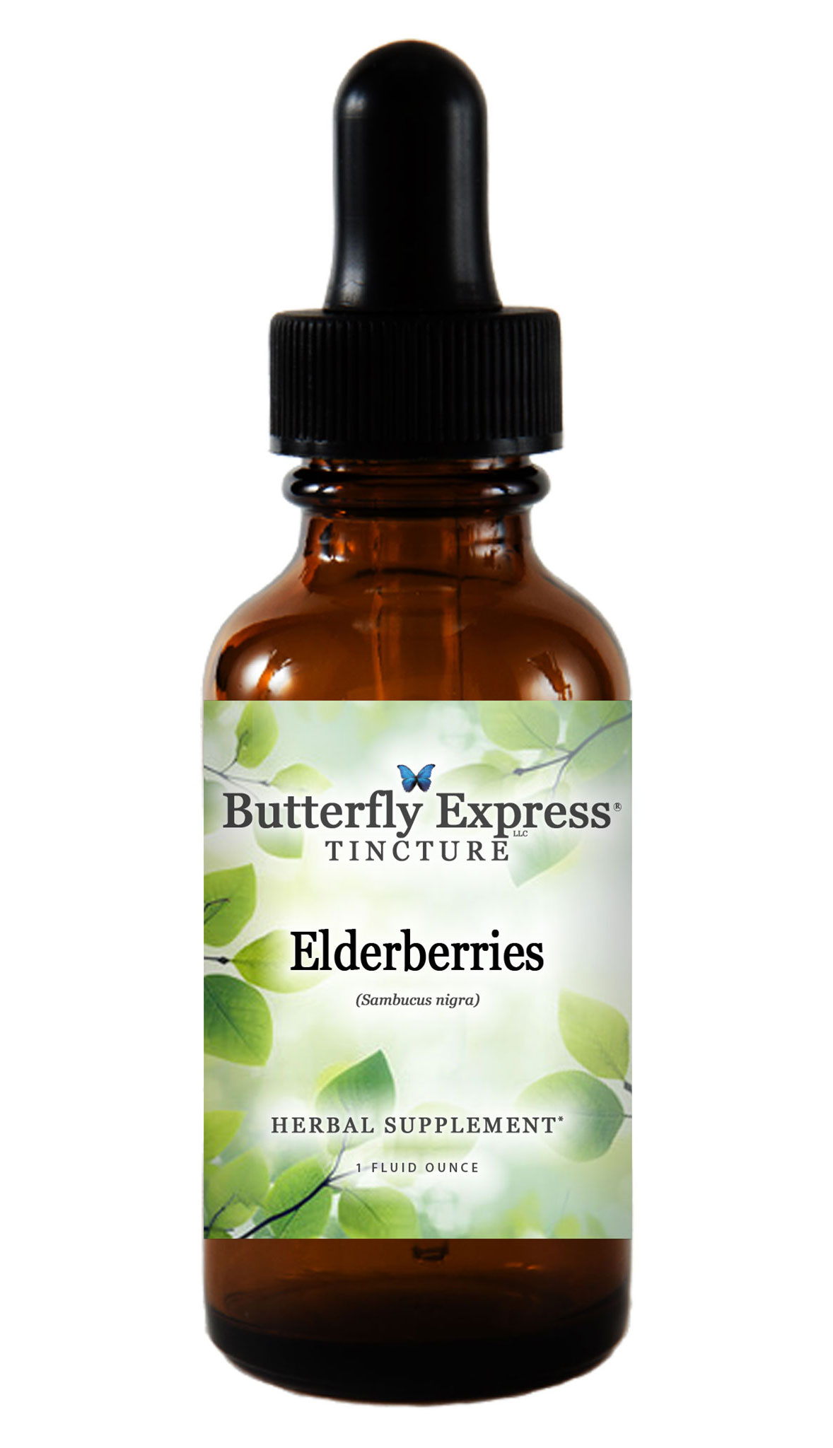 Elderberry Herbs 