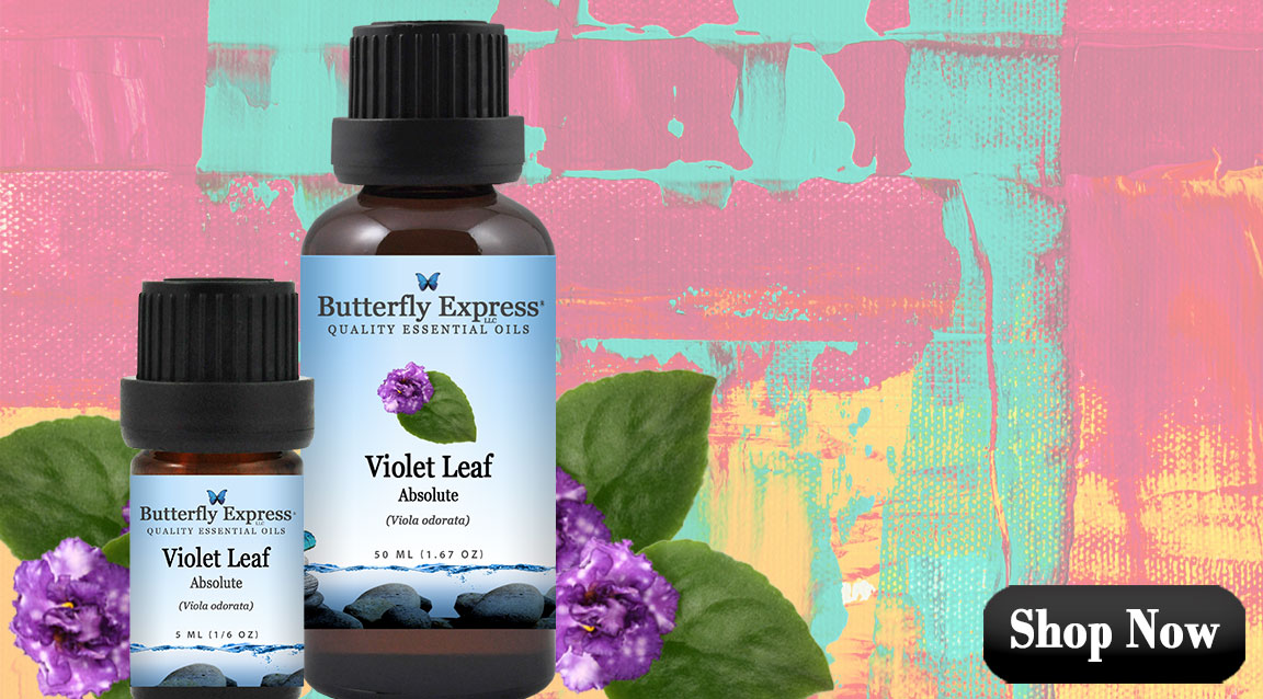 Violet Essential Oil