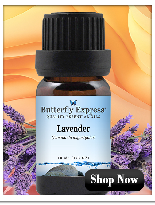 Lavender Essential Oil