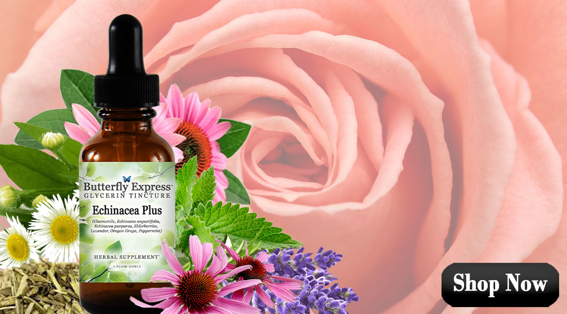 Echinacea Plus