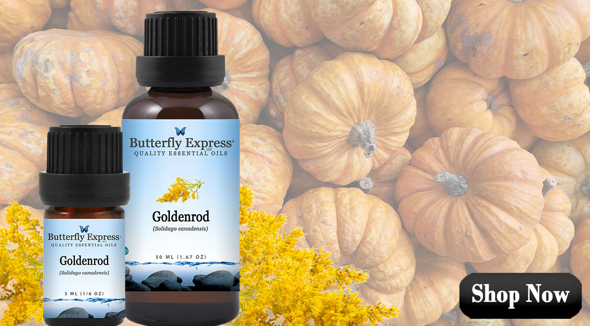 Goldenrod Essential Oil