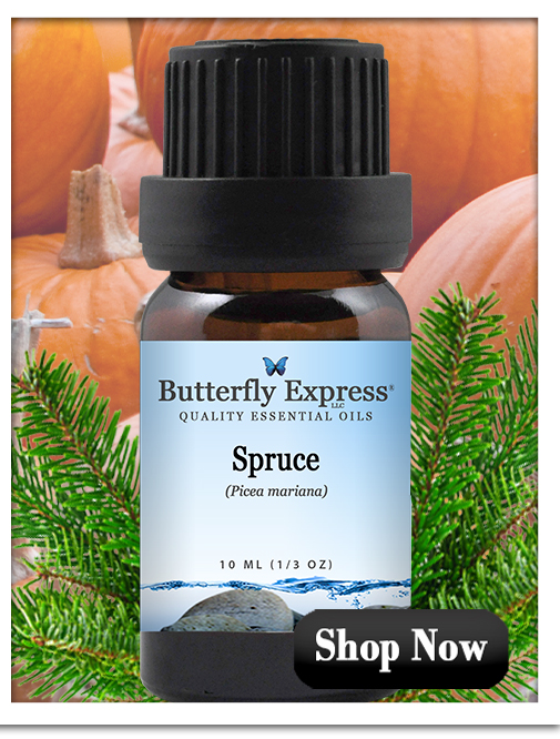 Spruce Essential Oil