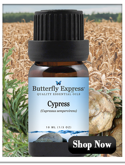 Cypress Essential Oil