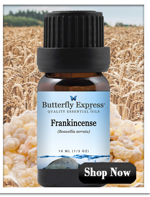 Frankincense serrata Essential oil