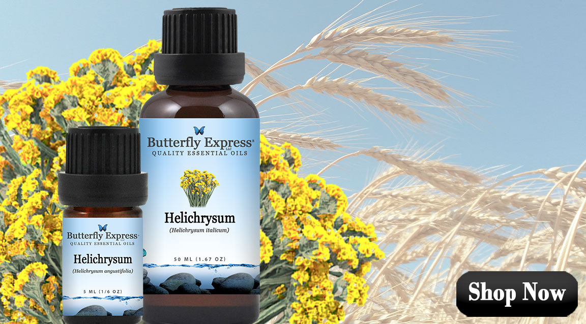 Helichrysum Essential Oils