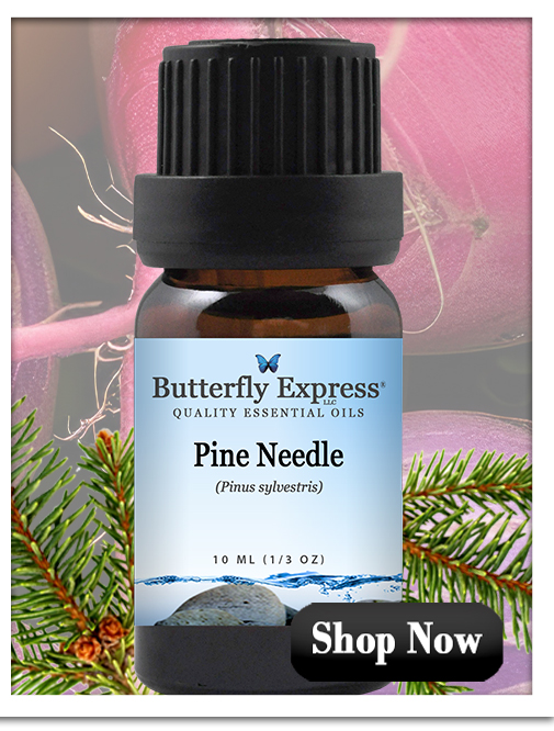 Pine Needle Essential Oil