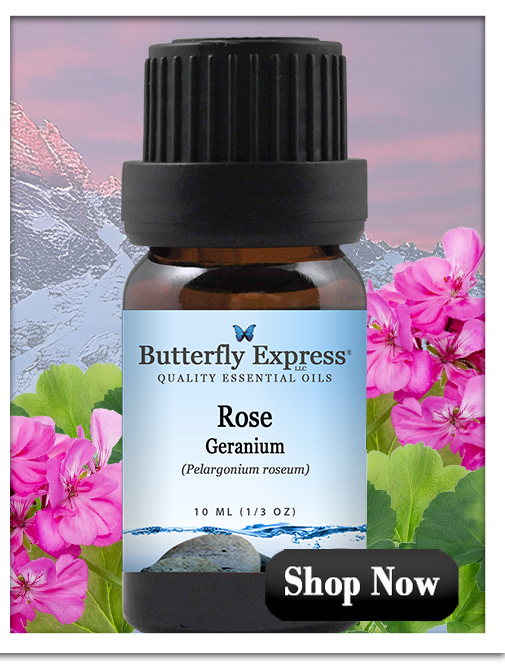 Rose Geranium Essential Oil