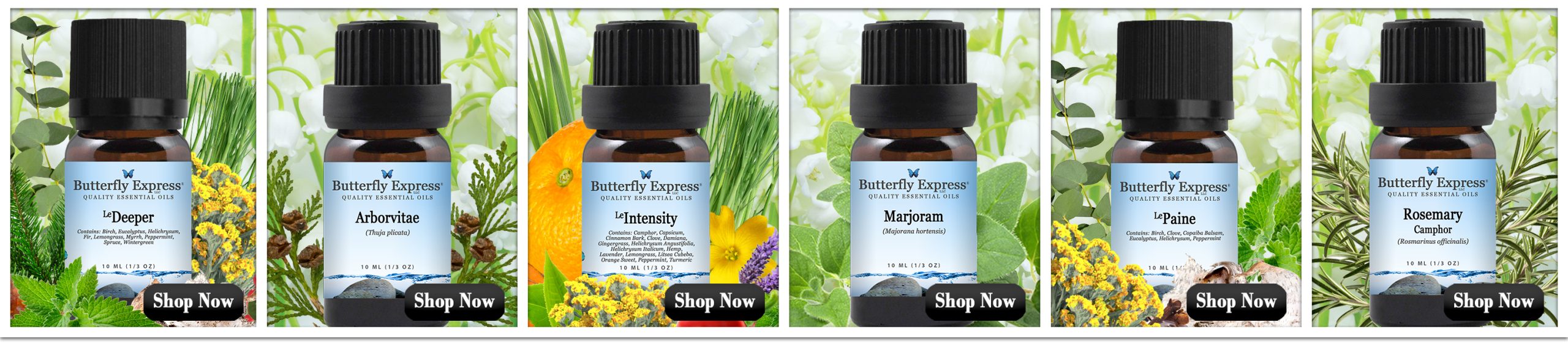 May Essential Oil Special