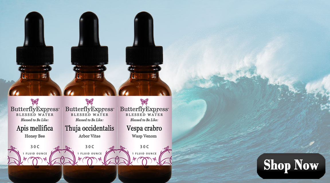 Homeopathic Remedies for Sun Safety and Bugs