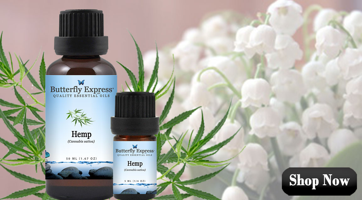 Hemp Essential Oil