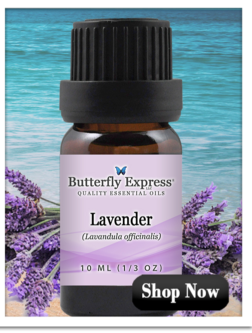 Lavender officinalis Essential Oil