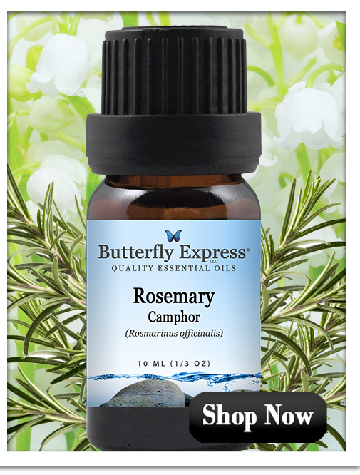 Rosemary Camphor Essential Oil