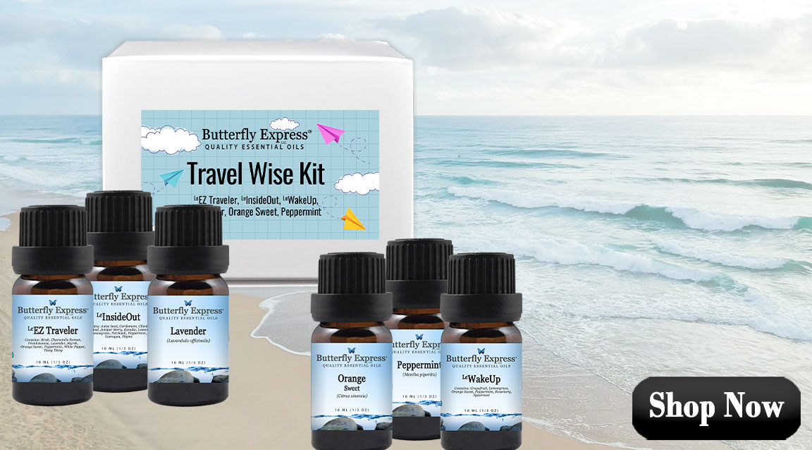 Travel Wise Kit
