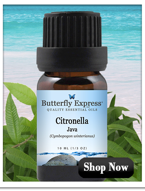 Citronella Java Essential Oil