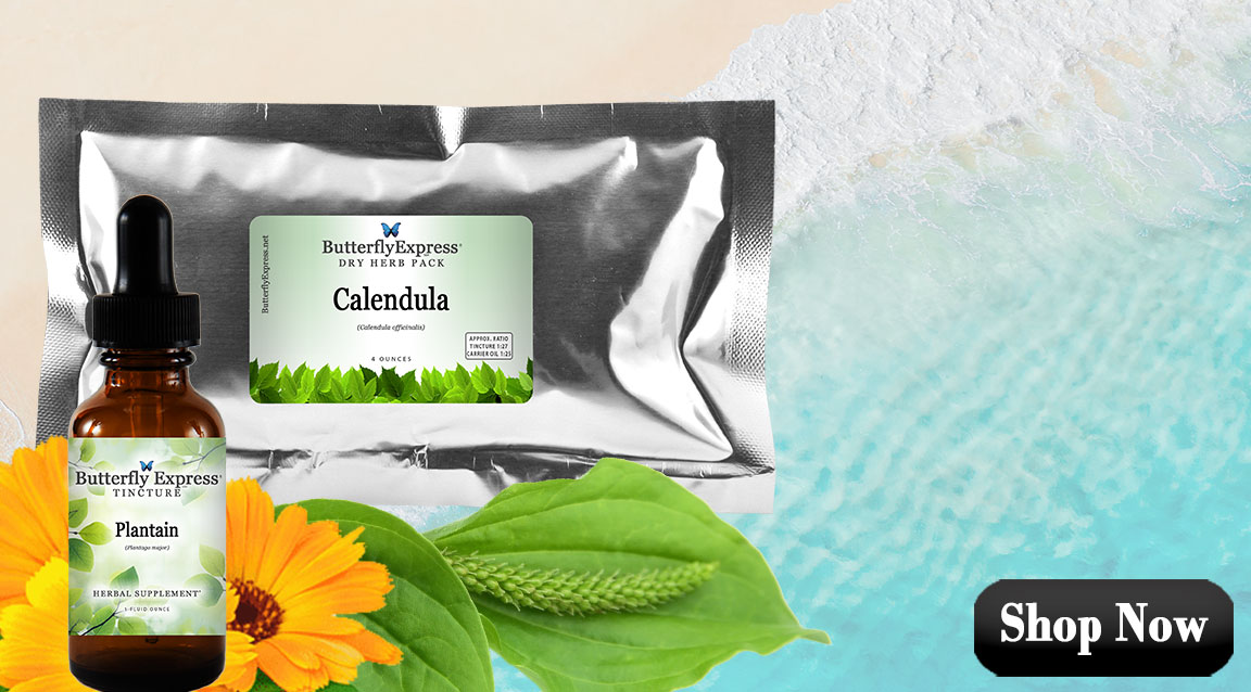 Featured Herbs for Sun Safety and Bugs