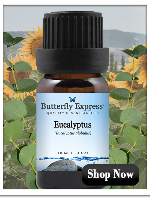 Eucalyptus Globulus Essential Oil