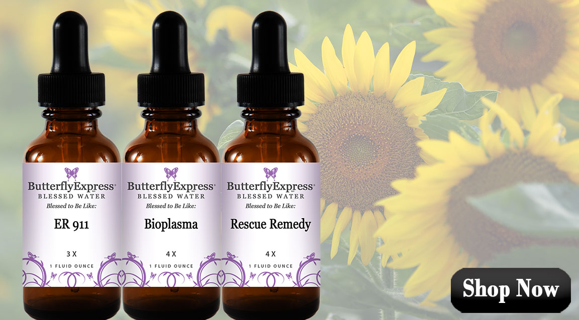 Homeopathic Remedies for First Aid