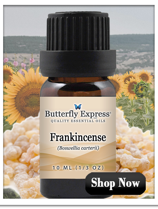 Frankincense Carterii Essential Oil